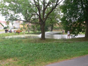 Čištění rybníku Sázka v Radobytcích před akcí Kolce 2015
